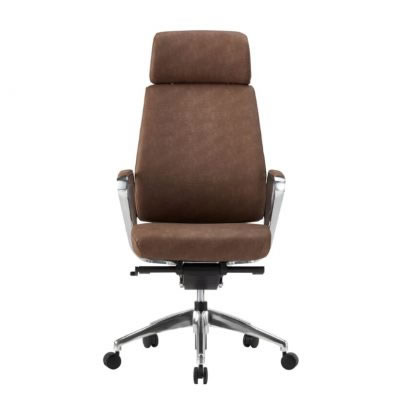 Cadeira de Dire��o