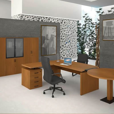 Mobili�rio de Escrit�rio de Dire��o