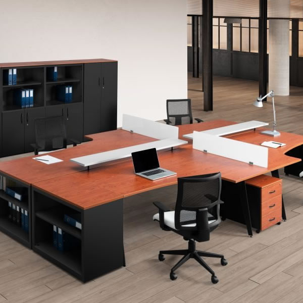 Escritorio Pag4-5 V01